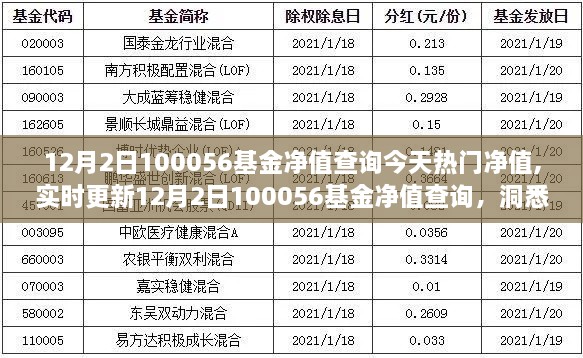 12月2日100056基金净值今日热门动态，实时查询与洞悉