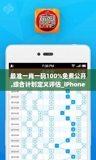 最准一肖一码100%免费公开,综合计划定义评估_iPhone38.978-3