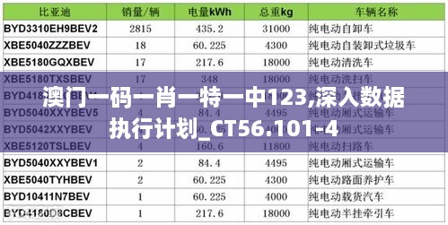 澳门一码一肖一特一中123,深入数据执行计划_CT56.101-4