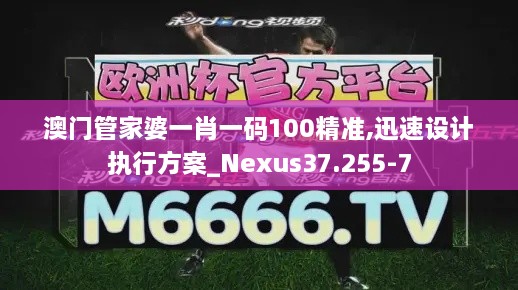 澳门管家婆一肖一码100精准,迅速设计执行方案_Nexus37.255-7