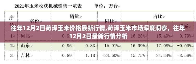 往年12月2日菏泽玉米市场深度洞察，最新行情分析与市场洞察