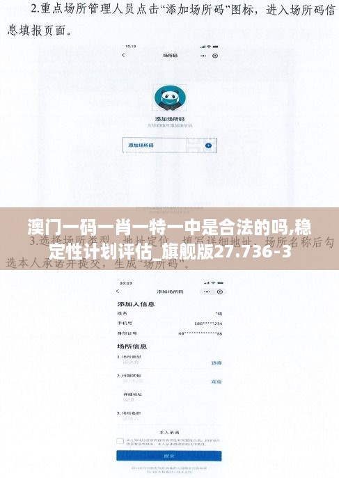 澳门一码一肖一特一中是合法的吗,稳定性计划评估_旗舰版27.736-3