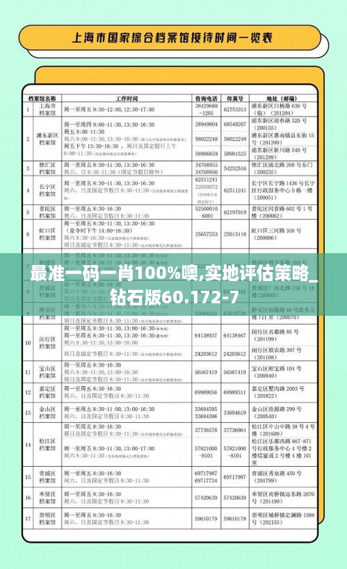 最准一码一肖100%噢,实地评估策略_钻石版60.172-7