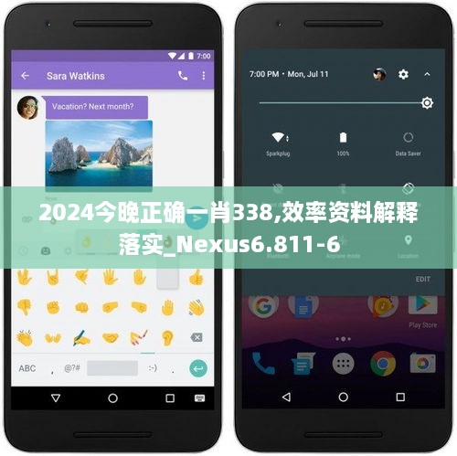 2024今晚正确一肖338,效率资料解释落实_Nexus6.811-6