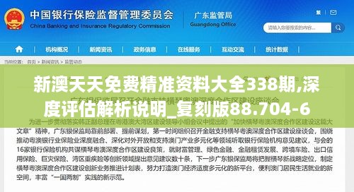 新澳天天免费精准资料大全338期,深度评估解析说明_复刻版88.704-6