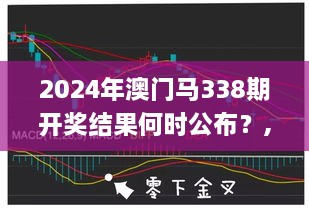 2024年澳门马338期开奖结果何时公布？,最佳精选解释落实_yShop43.105-4