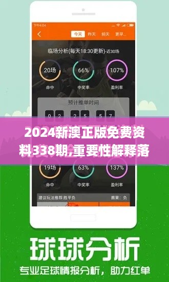 2024新澳正版免费资料338期,重要性解释落实方法_iPad80.478-5