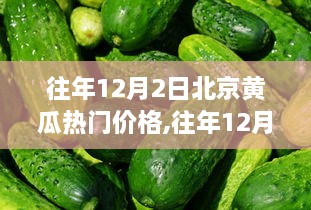 往年12月2日北京黄瓜热门价格详解，查询与解析指南（初学者及进阶用户必备）