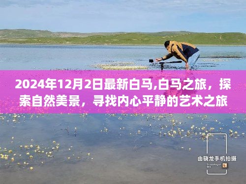 白马之旅，探索自然美景与艺术的心灵之旅