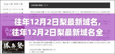 往年12月2日梨最新域名详解，特性、体验、对比及用户群体全面分析