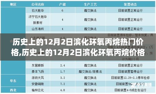 历史上的12月2日滨化环氧丙烷价格走势分析，初学者与进阶用户指南