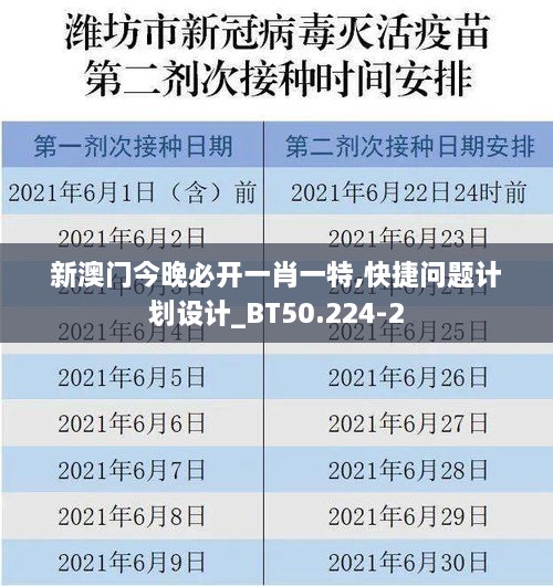 新澳门今晚必开一肖一特,快捷问题计划设计_BT50.224-2