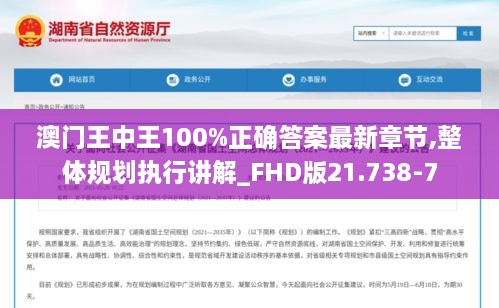 澳门王中王100%正确答案最新章节,整体规划执行讲解_FHD版21.738-7