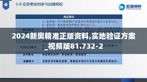 2024新奥精准正版资料,实地验证方案_视频版81.732-2