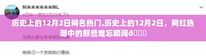 历史上的12月2日，网红热潮中的璀璨瞬间回顾