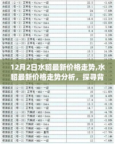 探寻水貂最新价格走势背后的故事与趋势分析（至12月2日）