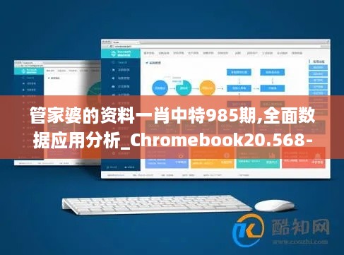 管家婆的资料一肖中特985期,全面数据应用分析_Chromebook20.568-1