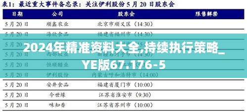 2024年精准资料大全,持续执行策略_YE版67.176-5