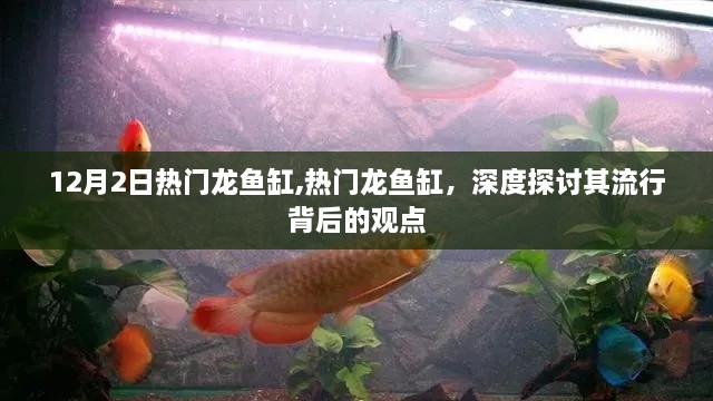 深度探讨，热门龙鱼缸背后的流行观点与趋势分析