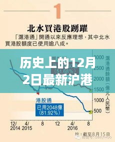 2024年12月4日 第46页