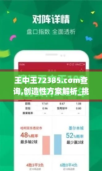 王中王72385.cσm查询,创造性方案解析_挑战款58.756-9