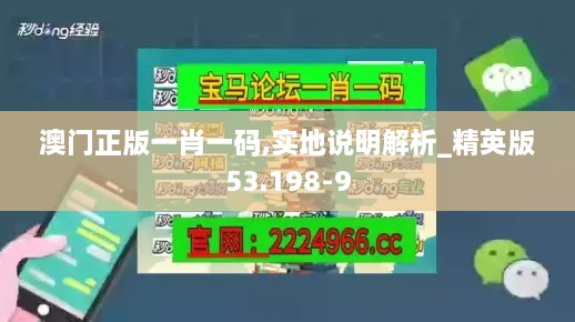 澳门正版一肖一码,实地说明解析_精英版53.198-9