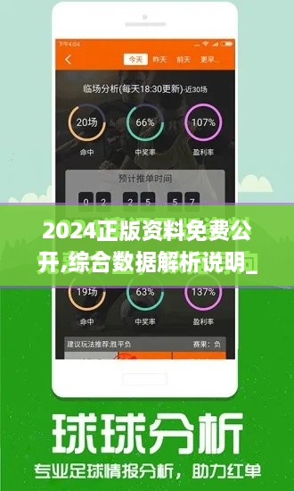 2024正版资料免费公开,综合数据解析说明_旗舰款13.409-5