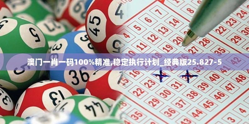 澳门一肖一码100%精准,稳定执行计划_经典版25.827-5