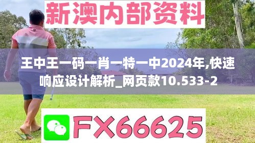 王中王一码一肖一特一中2024年,快速响应设计解析_网页款10.533-2