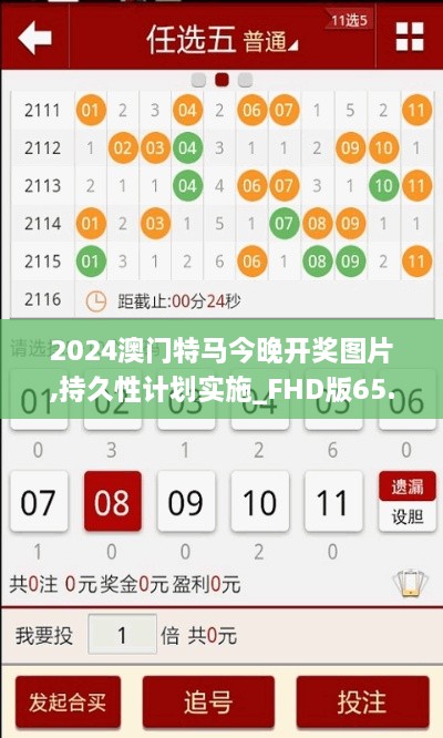 2024澳门特马今晚开奖图片,持久性计划实施_FHD版65.164-5