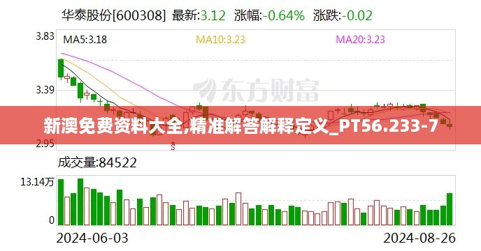 新澳免费资料大全,精准解答解释定义_PT56.233-7