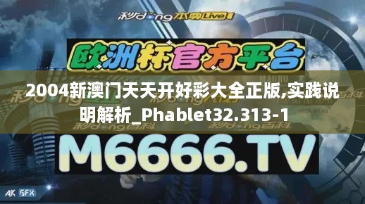 2004新澳门天天开好彩大全正版,实践说明解析_Phablet32.313-1