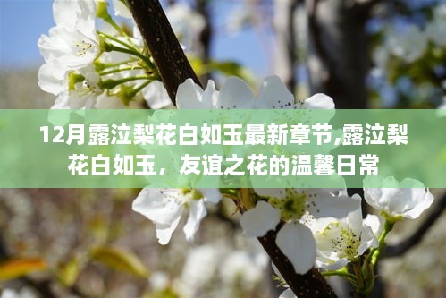 露泣梨花白如玉，友谊之花的温馨日常最新章节