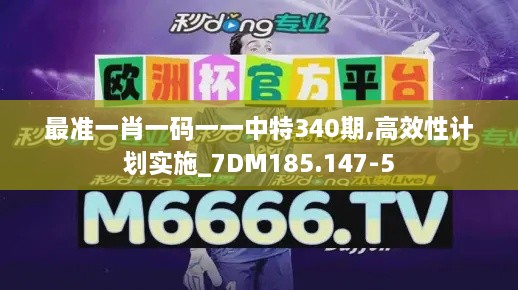 最准一肖一码一一中特340期,高效性计划实施_7DM185.147-5