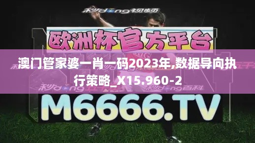 澳门管家婆一肖一码2023年,数据导向执行策略_X15.960-2