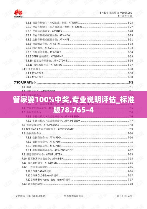 管家婆100%中奖,专业说明评估_标准版78.765-4