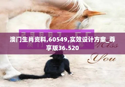 澳门生肖资料,60549,实效设计方案_尊享版36.520