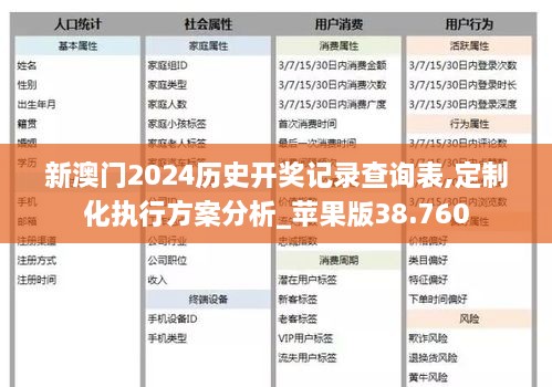 新澳门2024历史开奖记录查询表,定制化执行方案分析_苹果版38.760