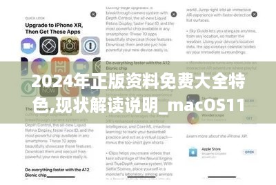 2024年正版资料免费大全特色,现状解读说明_macOS11.277