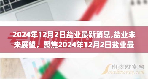 聚焦盐业未来展望，最新消息、观点分析与趋势预测（2024年12月）