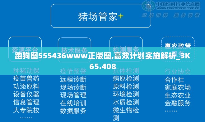 跑狗图555436www正版图,高效计划实施解析_3K65.408