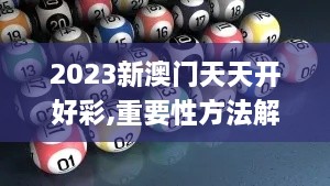 2024年12月5日 第49页