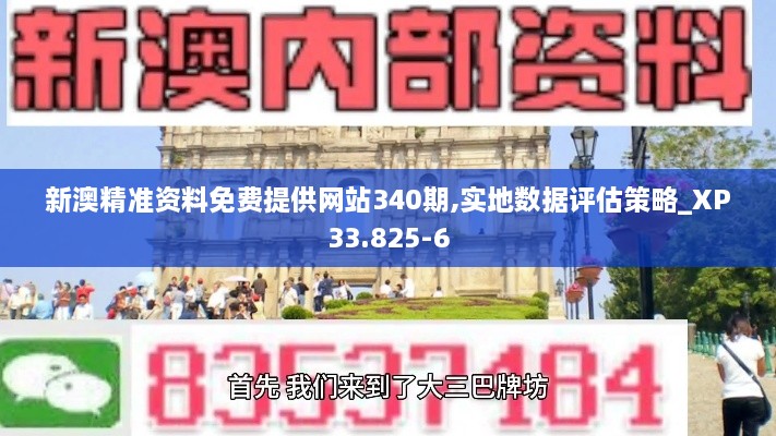 新澳精准资料免费提供网站340期,实地数据评估策略_XP33.825-6