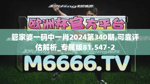 管家婆一码中一肖2024第340期,可靠评估解析_专属版81.547-2