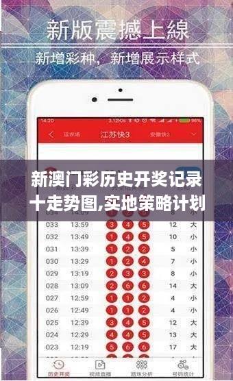 新澳门彩历史开奖记录十走势图,实地策略计划验证_社交版95.735