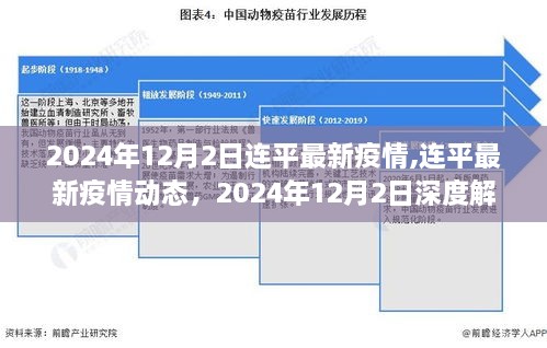 2024年12月2日连平疫情最新动态与深度解析