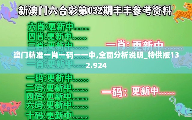 澳门精准一肖一码一一中,全面分析说明_特供版132.924