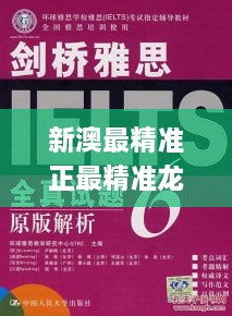 新澳最精准正最精准龙门客栈,经典解读解析_超值版119.193