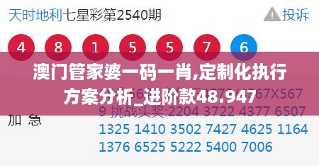 澳门管家婆一码一肖,定制化执行方案分析_进阶款48.947