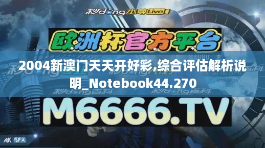 2004新澳门天天开好彩,综合评估解析说明_Notebook44.270